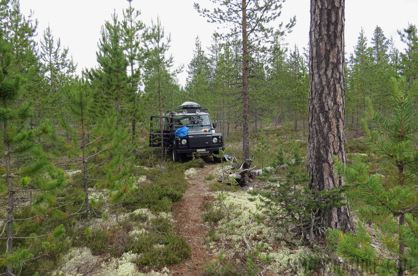 Schweden - Wilderness route [4.3 mm, 1/400 sec at f / 4.0, ISO 160]